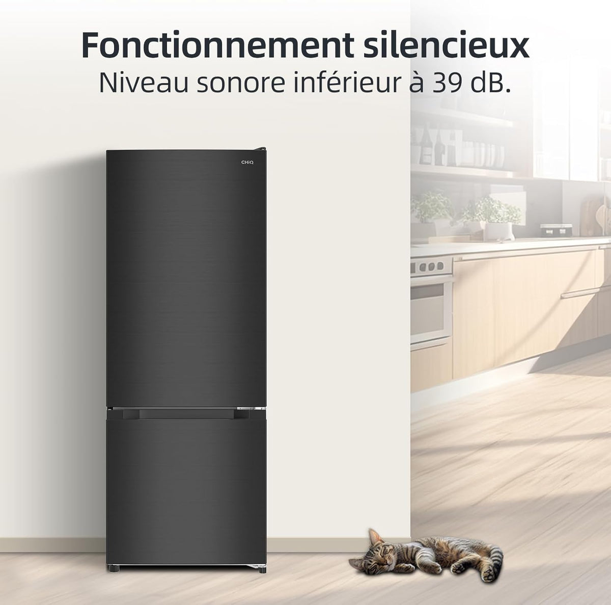 CHIQ Réfrigérateur congélateur FBM205L42-205L (153 + 52),Classe énergétique E, 39 dB, Acier noir, Low frost, Portes réversibles