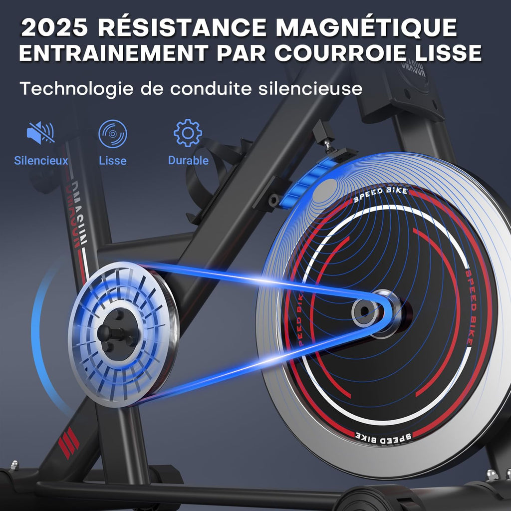 Vélo d'Appartement, DMASUN Vélo d'Exercice Magnétique Silencieux avec Écran LCD, Résistance Réglable de 0 à 100 pour cent, Volant d'inertie Solide, Siège Moelleux et Confortable, Capacité de Charge 160 kg
