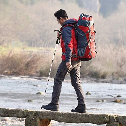 ZHCHAO Bâtons de Marche Nordiques Anti-Choc extérieurs légers bâtons de randonnée télescopiques de Trekking