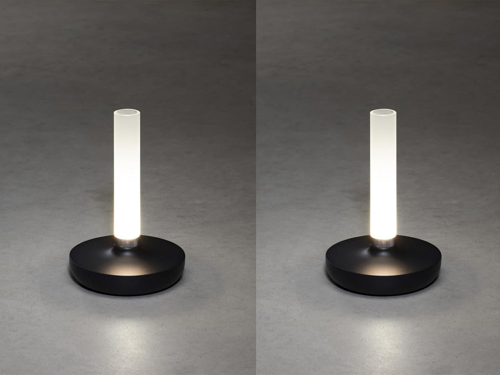 Lot de 2 lampes d'extérieur et vase à fleurs avec batterie Noir Hauteur 20 cm