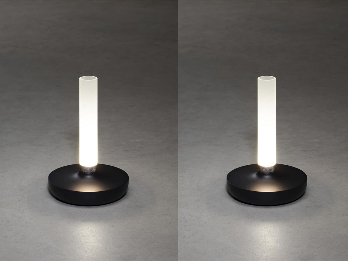 Lot de 2 lampes d'extérieur et vase à fleurs avec batterie Noir Hauteur 20 cm
