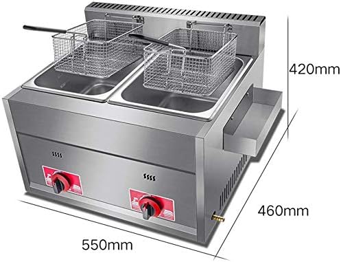 Friteuse commerciale 20L friteuse à gaz double panier comptoir à double réservoir frite en acier inoxydable robuste pour Restaurants