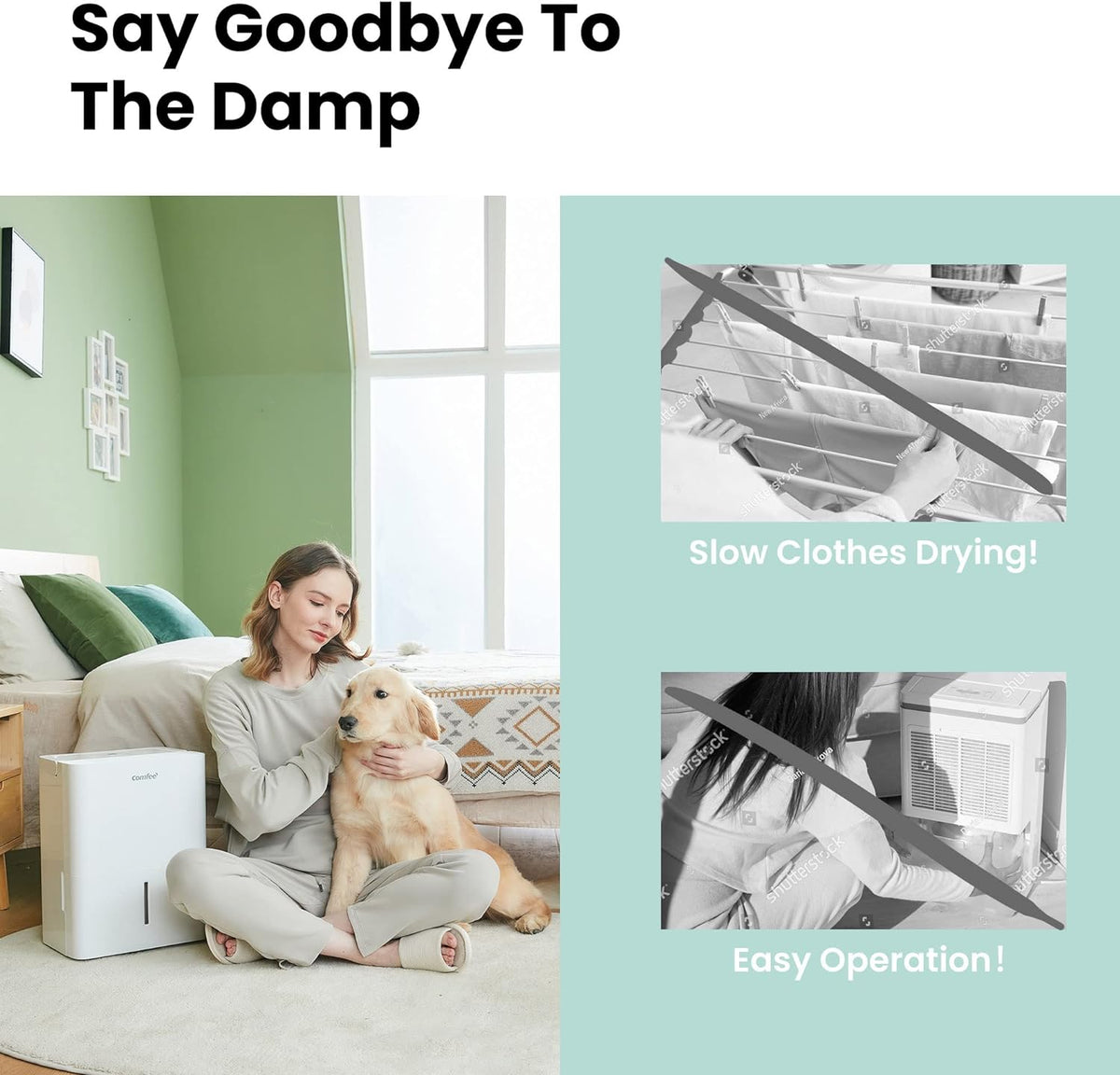 Déshumidificateur Compacte, Absorbe jusqu'à 10L-jour, Deshumidificateur d air avec Roulettes et Poignée, Minuterie 24H, Réservoir 2L, Pour pièce de 16-31㎡, MDDN-10DEN7