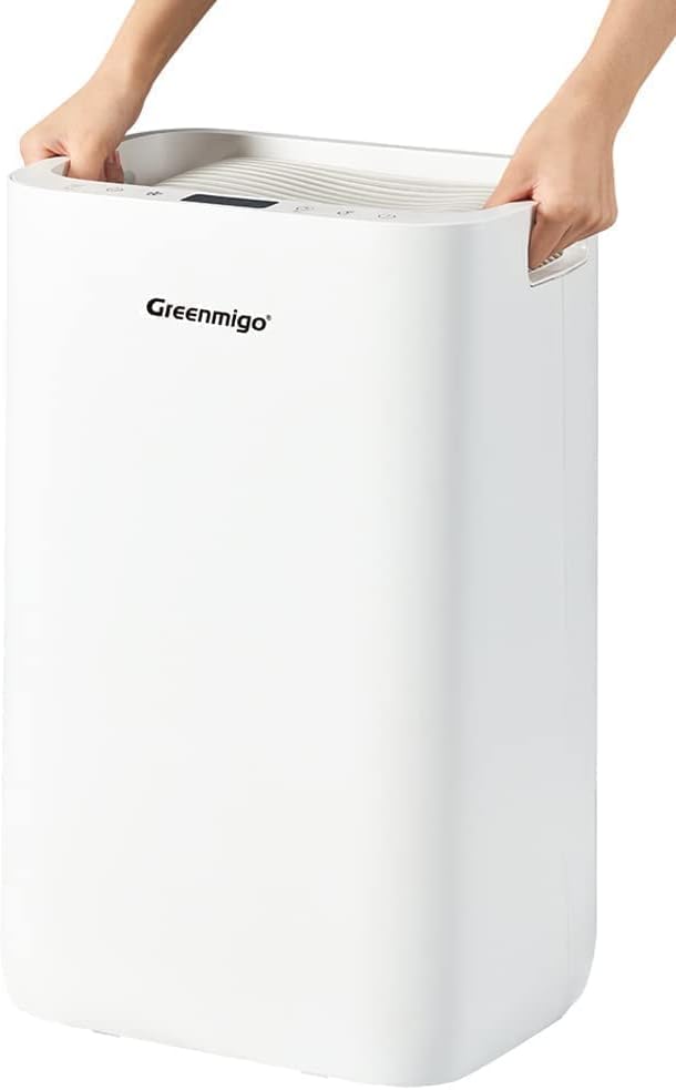 Déshumidificateur avec Ioniseur 20L/jour pour pièce jusqu'à 65m²,Filtre HEPA,Sèchage du Linge,Minuterie,Réservoir de 4.5L,Purificateur d'air Silencieux pour Maison,Cuisine,Bureau(ALPHA-Q20)