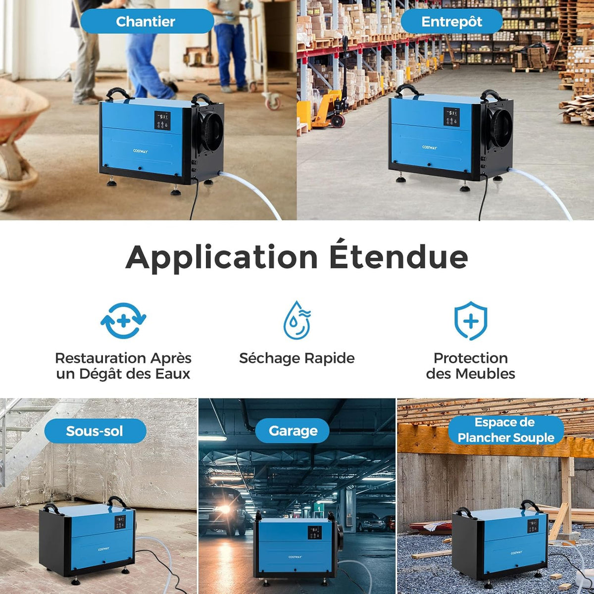 RELAX4LIFE Déshumidificateur Commercial 59L/J, Déshumidificateur Électrique avec Minuterie 24H et Mode Silencieux, Dégivrage Automatique, Tuyau de Drainage pour Maison Cave (59L/J,Bleu)