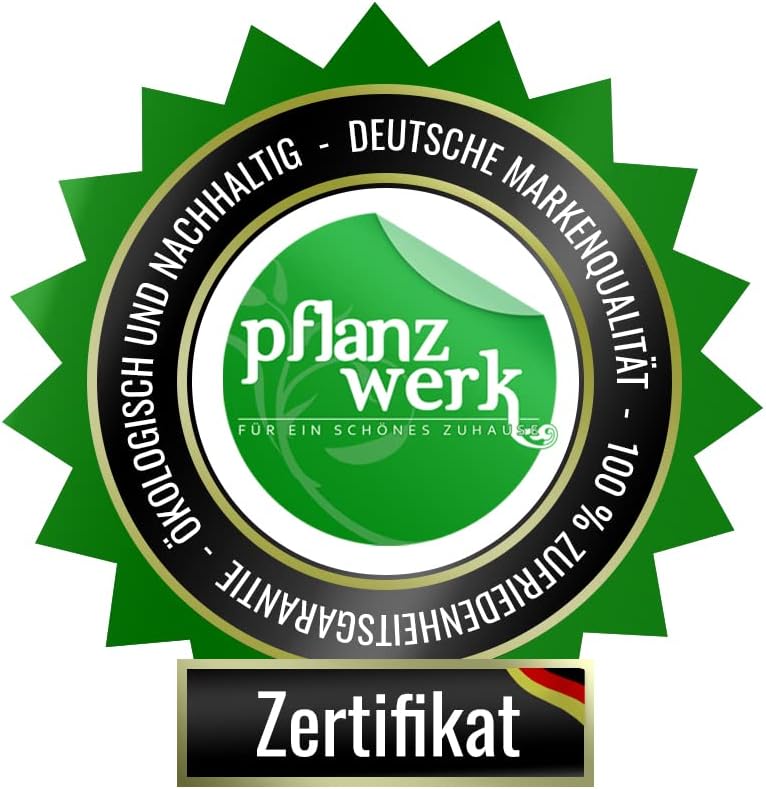 Pflanzwerk Pot de Fleur Divider Jardinière Anthracite 92x80x30cm xRésistant au Gelx xProtection UVx xQualité européennex