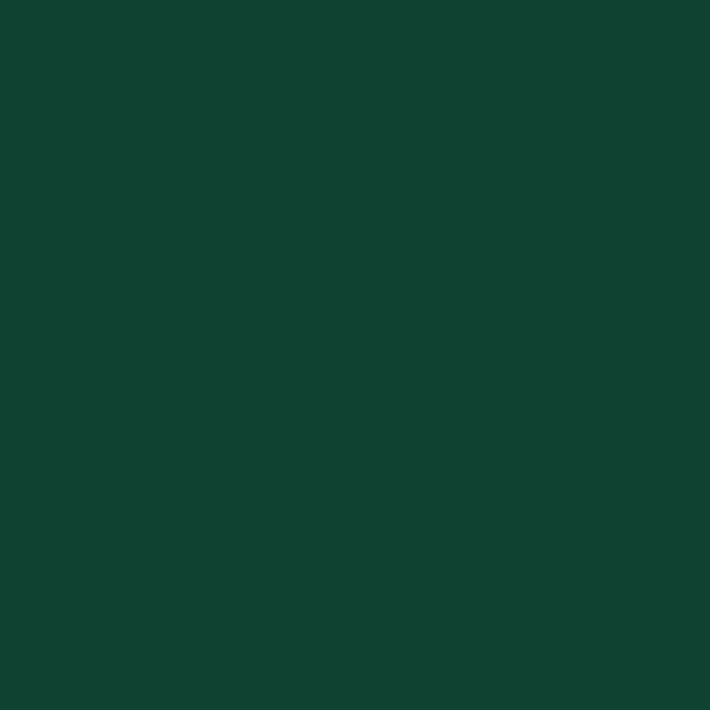 vidaXL Abri de Jardin avec Toit prolongé Vert 277x107x181 cm Acier, Rangement de Jardin, abri à Outils de Jardin, Rangement de Jardin pour Outils