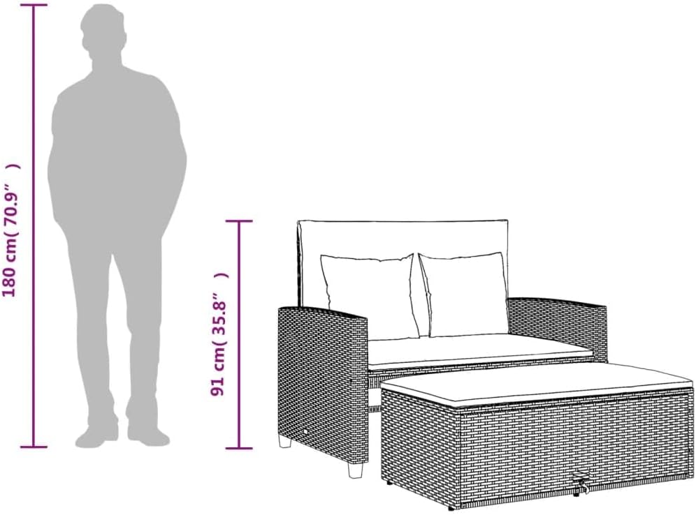 vidaXL Canapé de Jardin avec Coussins 2 Places, Siège avec Repose-Pieds, Canapé-lit avec Dossier, Meuble de Terrasse Patio, Beige Résine Tressée