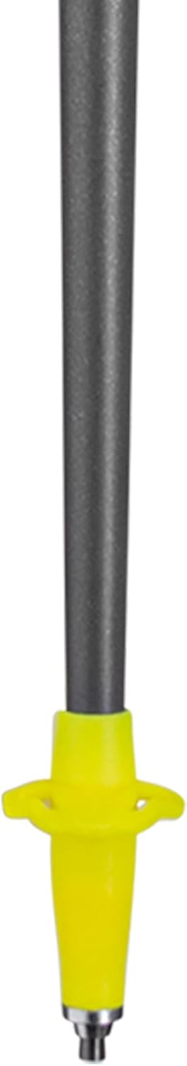 LEKI Bâtons de Marche Nordique Traveller FX.One Carbon
