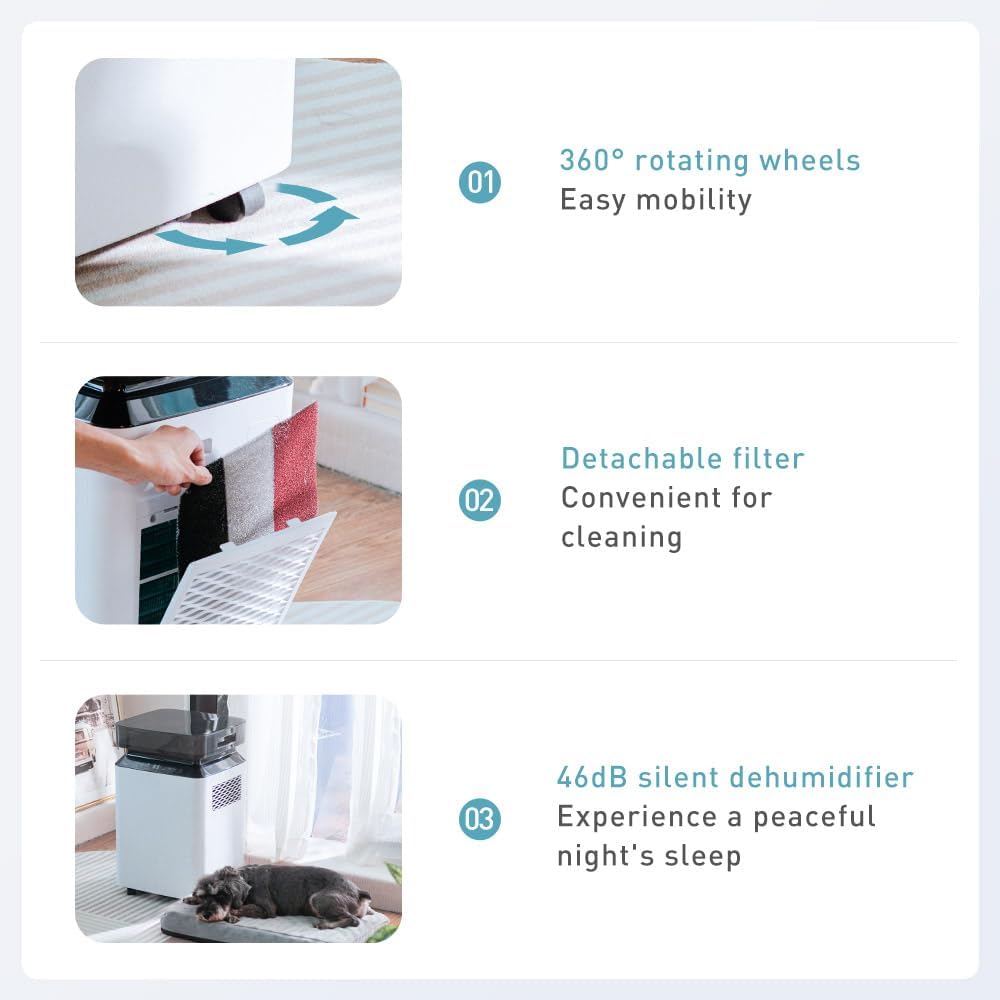 iOCHOW Déshumidificateur Électrique à Compresseur 50L/Jour: Grand Déshumidificateur Portable Intelligent avec Minuterie 24 Heures, Drainage par Pompe à Eau, R290 Écologique Pour la Maison et le Bureau