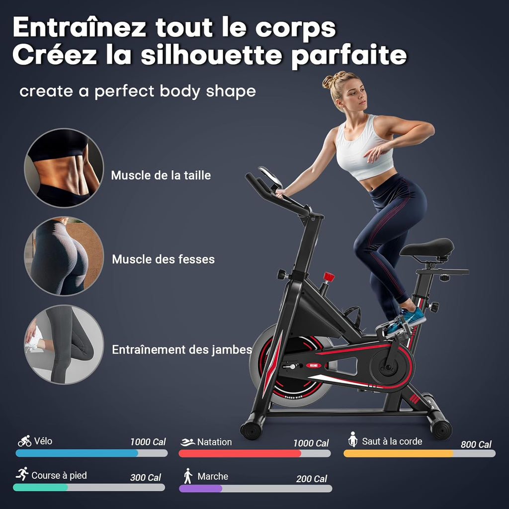 Vélo d'Appartement, DMASUN Vélo d'Exercice Magnétique Silencieux avec Écran LCD, Résistance Réglable de 0 à 100 pour cent, Volant d'inertie Solide, Siège Moelleux et Confortable, Capacité de Charge 160 kg