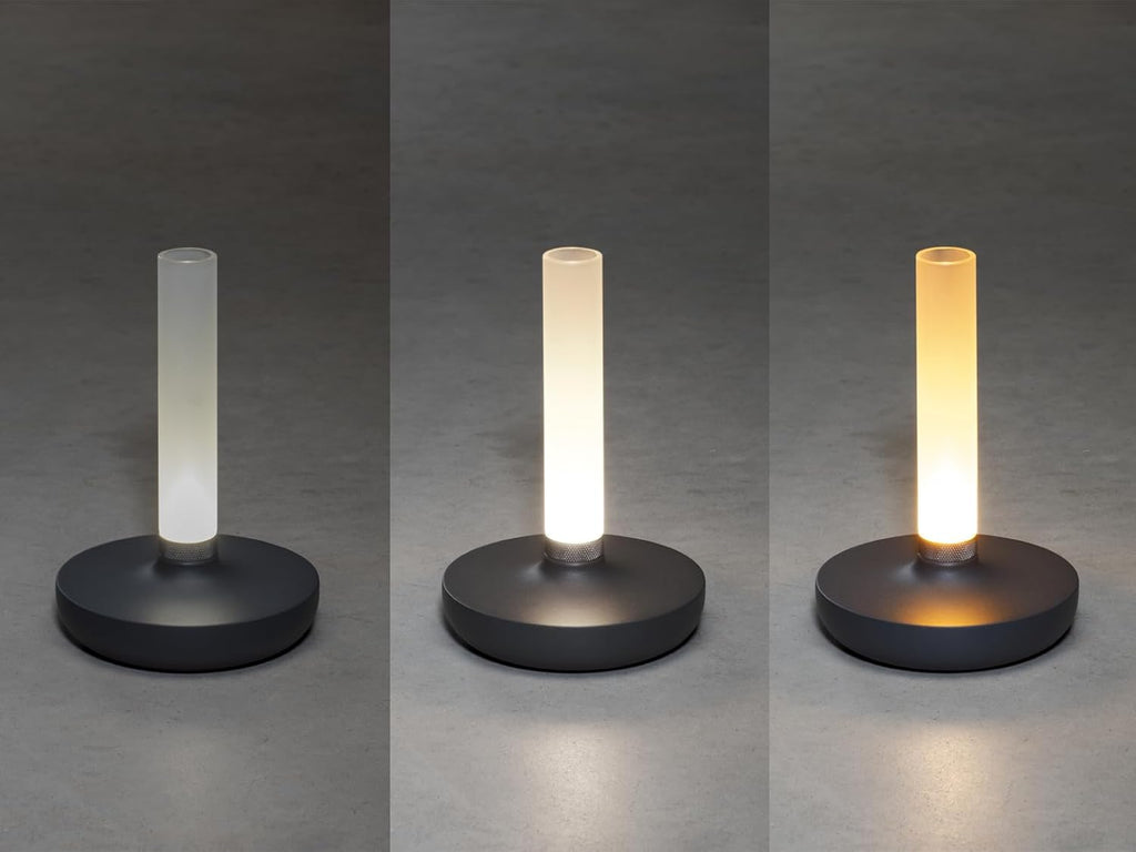 Lot de 2 lampes d'extérieur et vase à fleurs avec batterie Gris Hauteur 20 cm