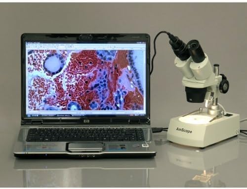 AmScope - 20X-80X LED sans Fil Stereo Microscope Cordless