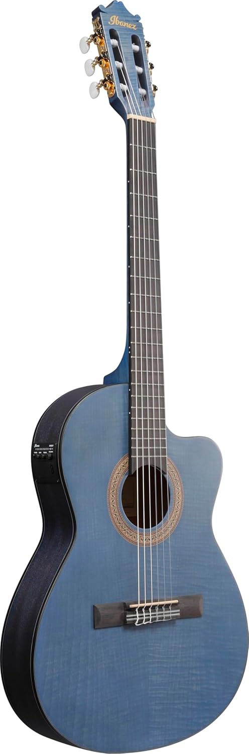Ibanez Acoustic guitar / GA5FMTCEOB Standard
