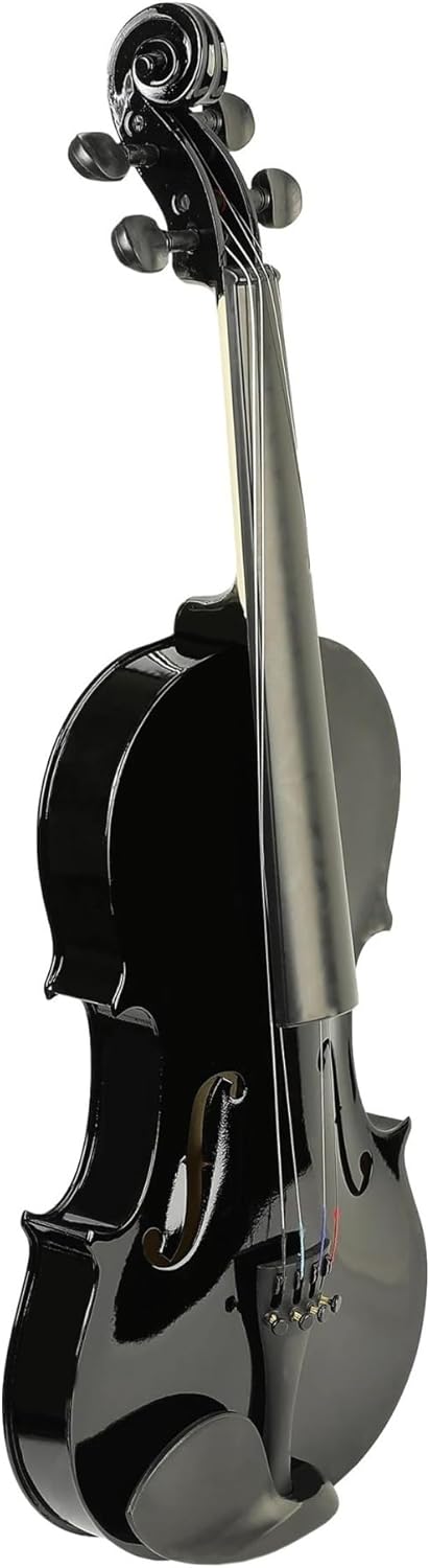 violon L'ensemble de violon de taille 4/4 convient aux débutants professionnels et comprend un archet et un étui