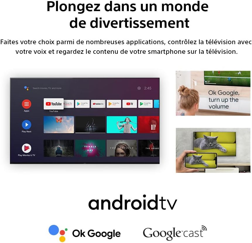 BRAVIA KD-32W800-32 Pouces - HD - High Dynamic Range (HDR) - Android TV Noir