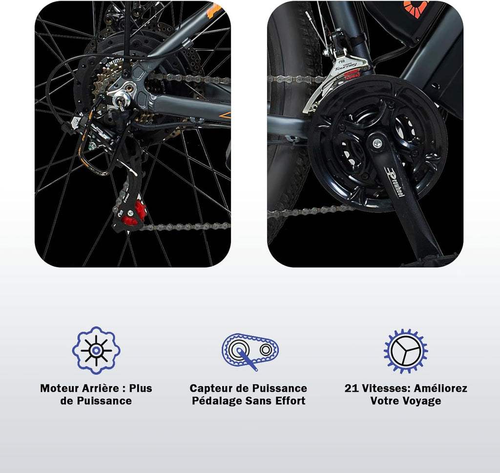 TIGUOWISH Cheevalry Vélo Électrique Homme - VTT Électrique Adulte Batterie Amovible 48V - Moteur sans Balais - Pneus 29 Pouces - Autonomie 40-50km