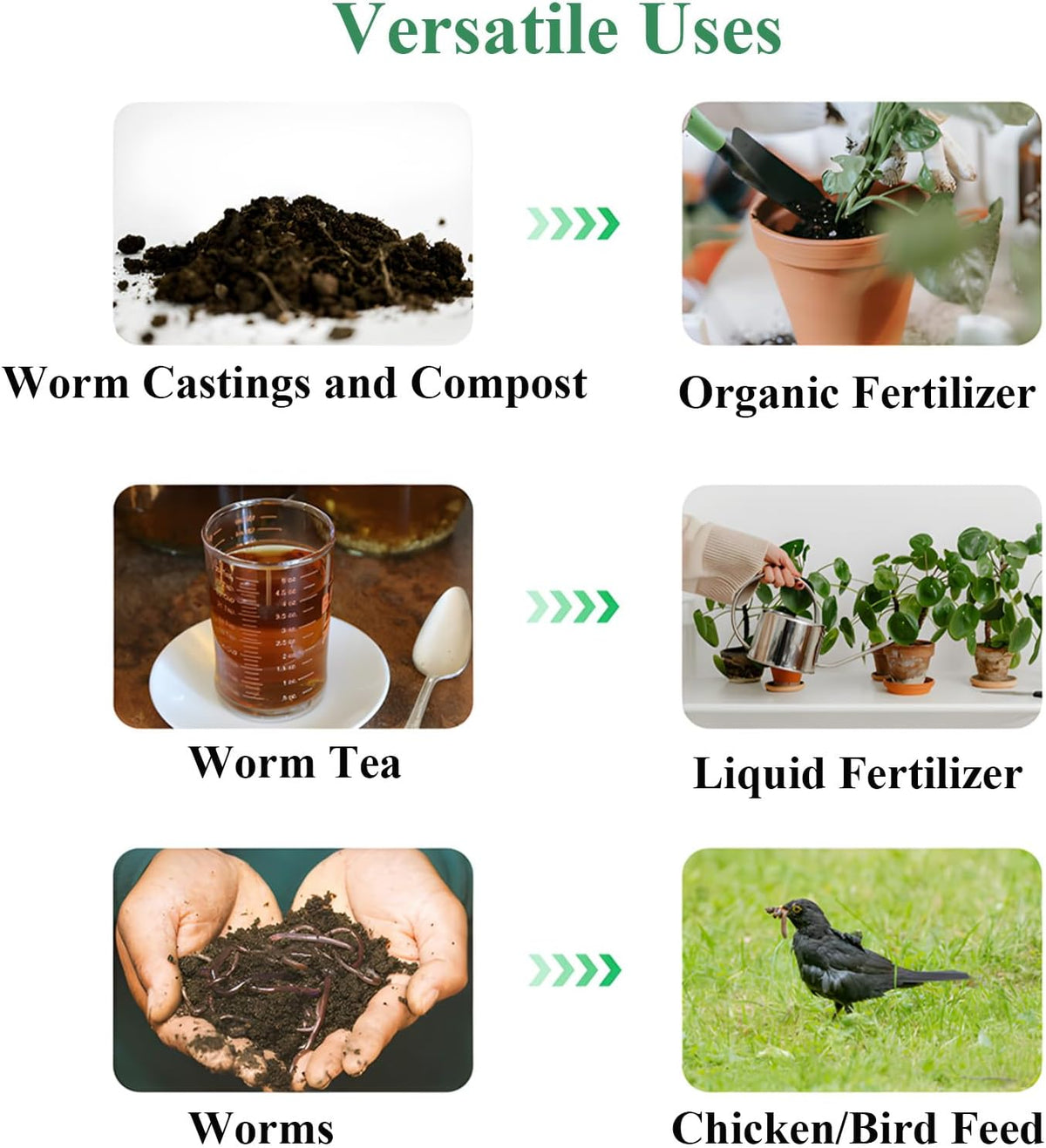 Kit de composteur avec système de drainage pour recyclage efficace des déchets alimentaires et vermiculture