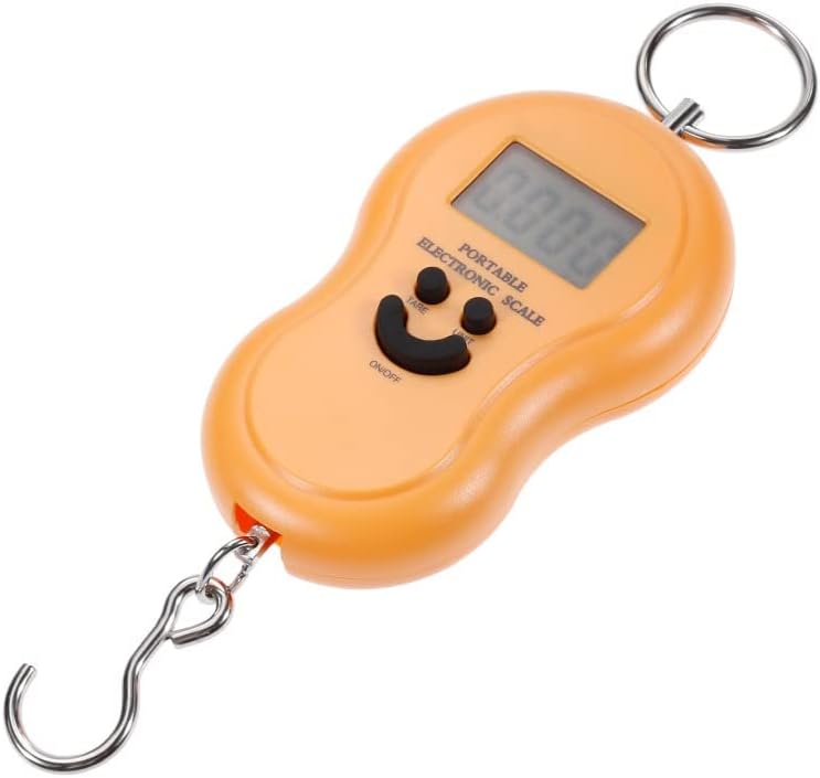 ZJFHEYUO Mini Balance numérique de 50 kg pour la pêche, Les Bagages, Les Voyages, la Cuisine, la Balance à Crochet électronique Suspendue