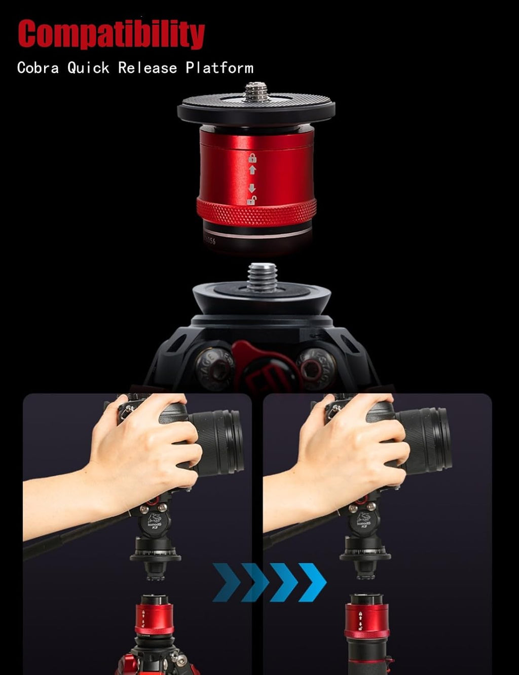 IFOOTAGE Gazelle TC3B+Komodo K3 Trépied en carbone pour appareil photo avec tête fluide, trépied de voyage portable, pour photographie professionnelle, création de contenu, vlogging et production