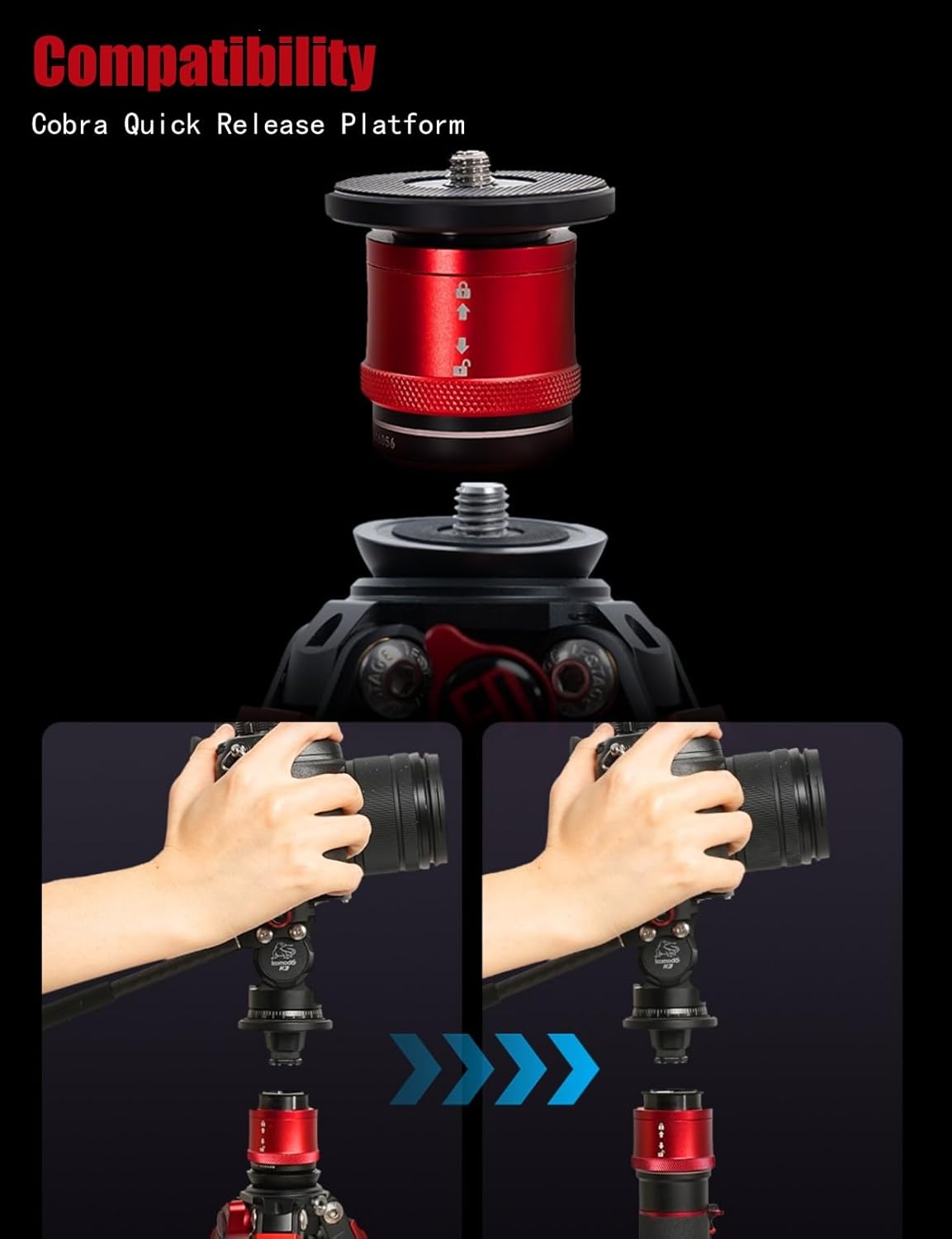 IFOOTAGE Gazelle TC3B+Komodo K3 Trépied en carbone pour appareil photo avec tête fluide, trépied de voyage portable, pour photographie professionnelle, création de contenu, vlogging et production