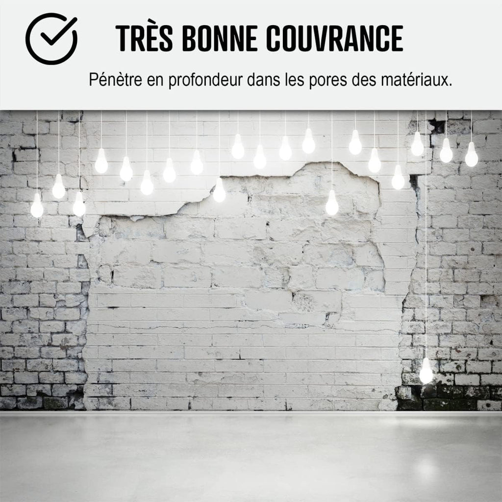 ARCANE INDUSTRIES Peinture anti humidité pour mur salle de bain et intérieur | Traitement préventif des moisissures : ARCASCREEN - 10 L (jusqu'à 40 m