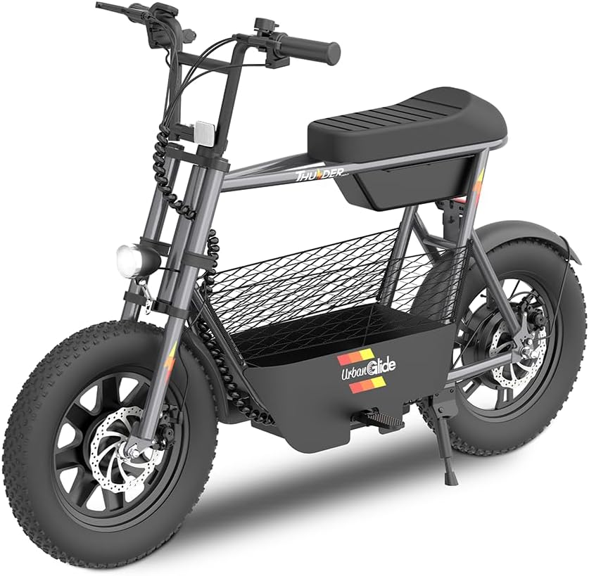Draisienne électrique URBANGLIDE THUNDER 160 – 25 km/h, 30 km d'autonomie,