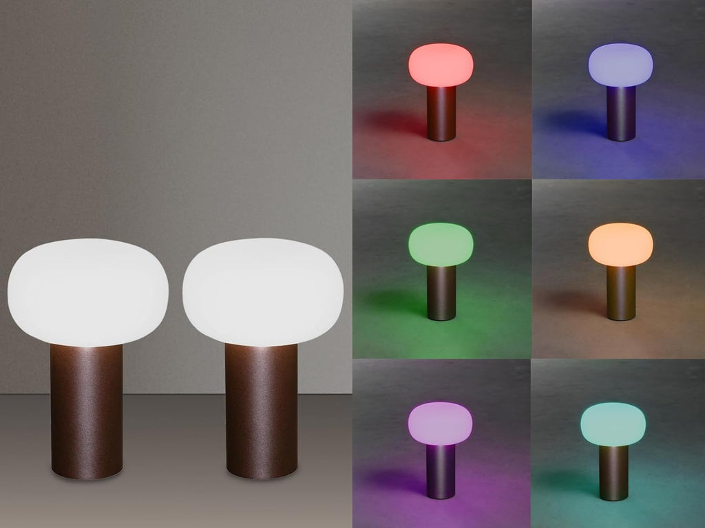 Lot de 2 lampes de table d'extérieur sans fil avec changement de couleur RVB, aspect rouille Hauteur 19 cm