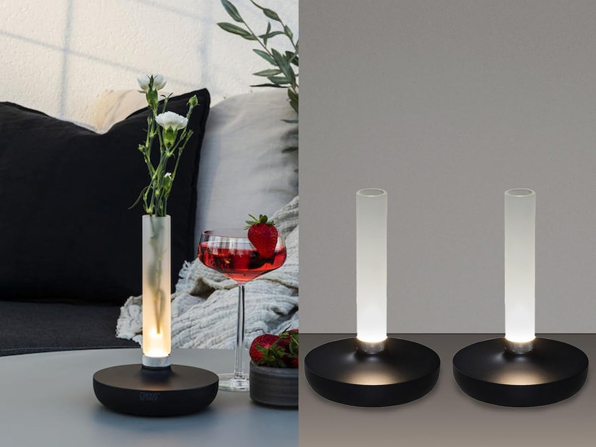 Lot de 2 lampes d'extérieur et vase à fleurs avec batterie Noir Hauteur 20 cm