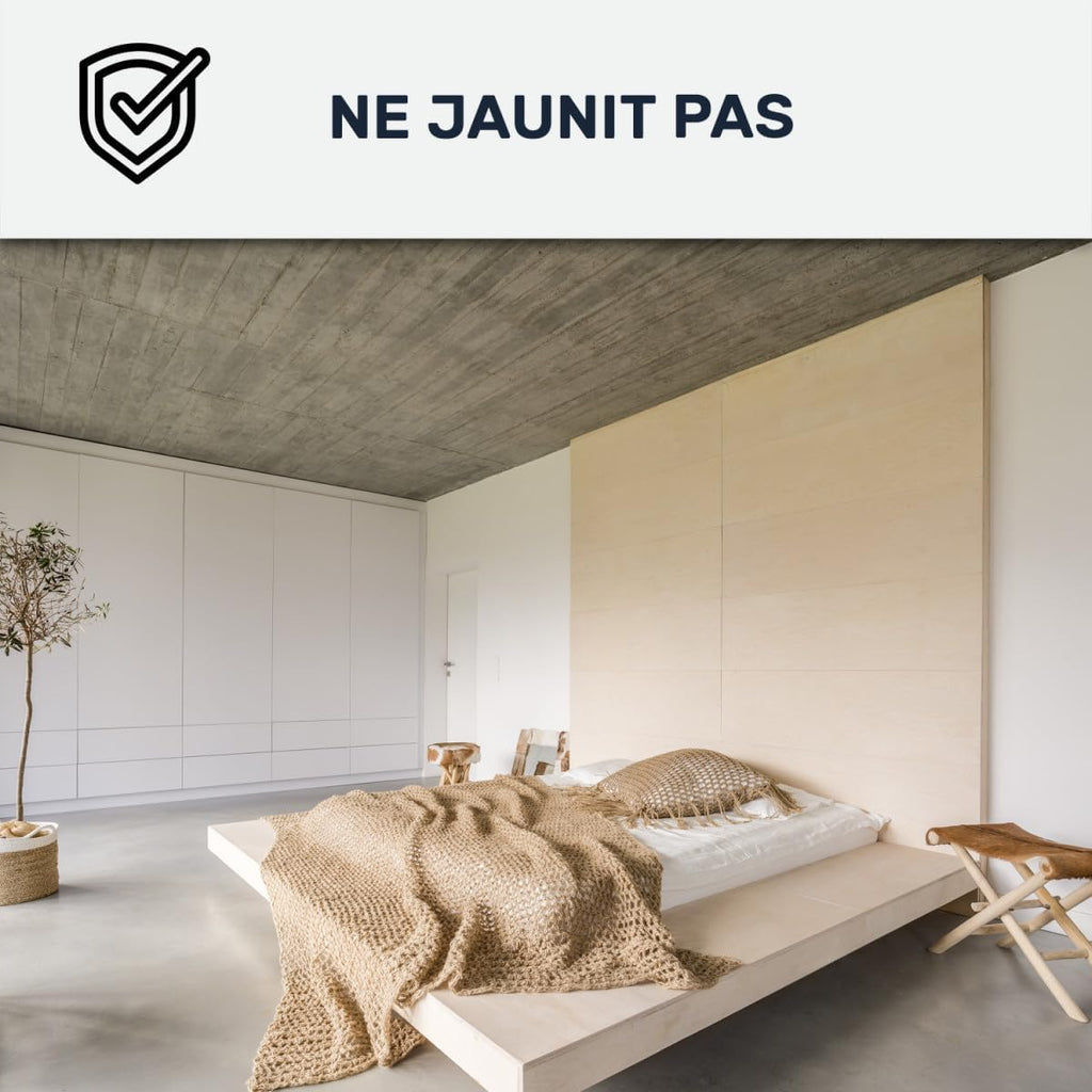ARCANE INDUSTRIES Peinture Mur et Plafond, Satin, Velours, biosourcée - 10 L (+ ou - 120m² par Couche) Blanc Crème - RAL 9001