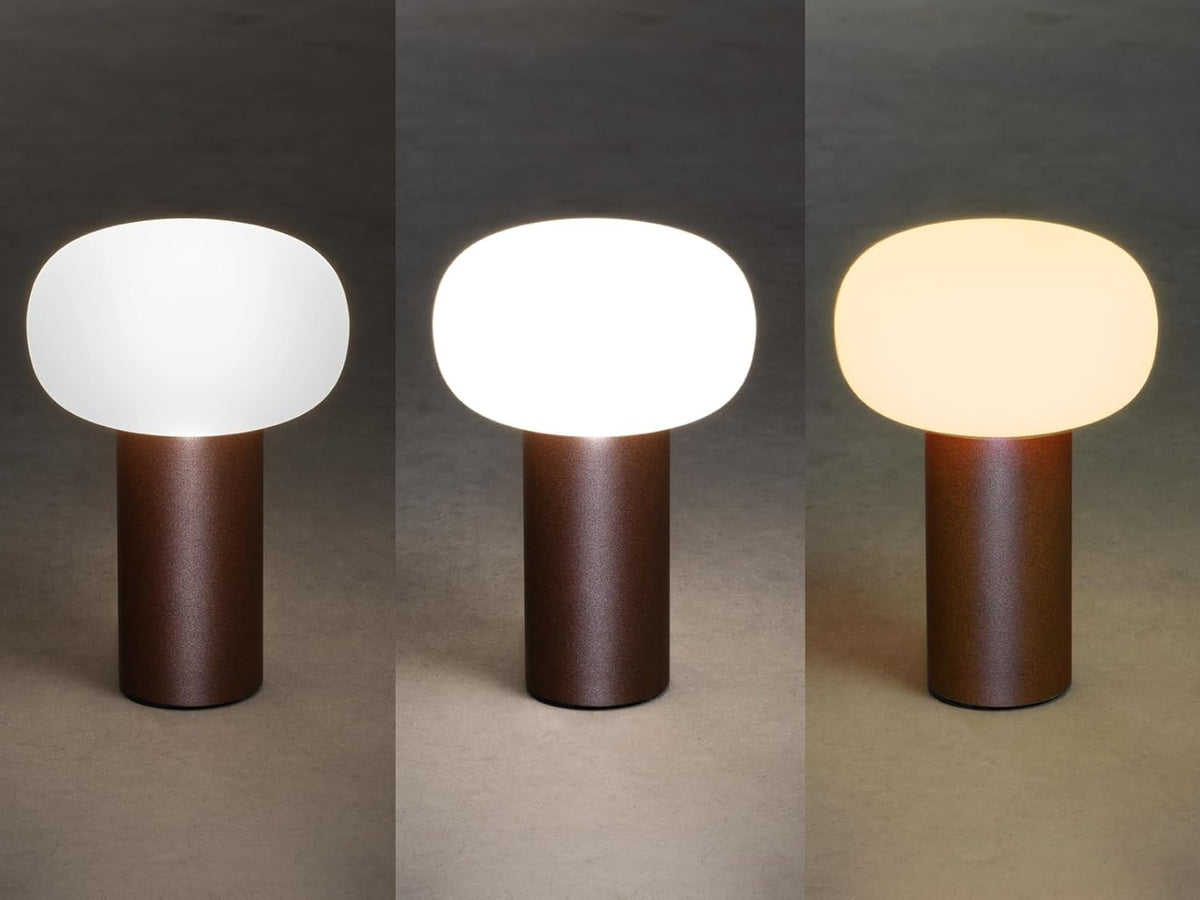 Lot de 2 lampes de table d'extérieur sans fil avec changement de couleur RVB, aspect rouille Hauteur 19 cm