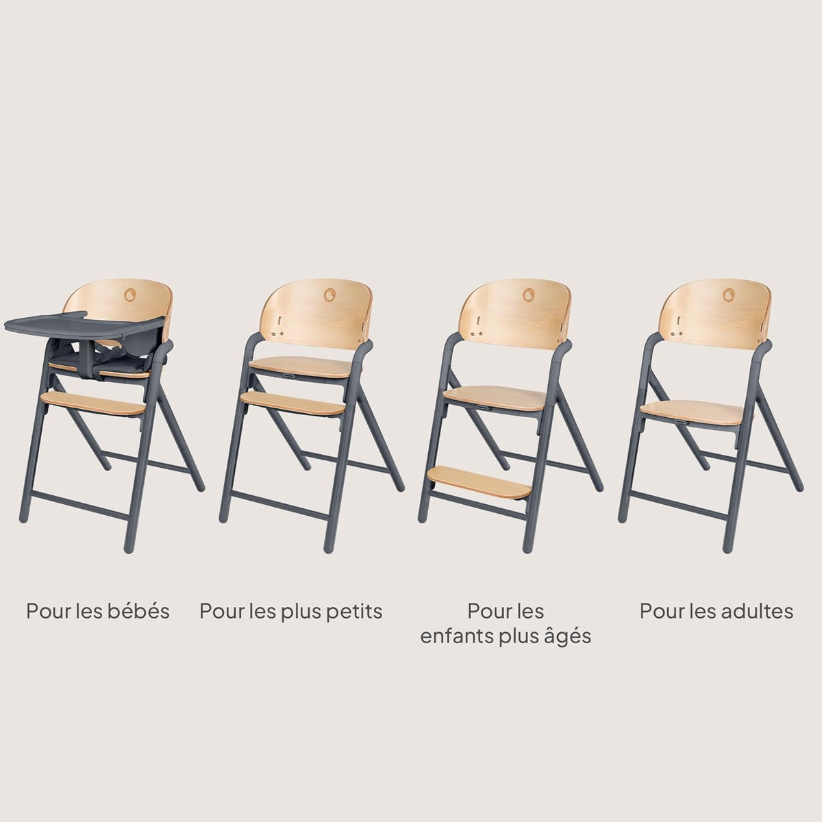 LIONELO Chaise Haute en Bois Celia, Évolutive, dès 6 mois jusqu'à 90 kg, Repose-pieds Réglable, Harnais 5 Points, Coussin de Siège, Nettoyage Facile (Grey)