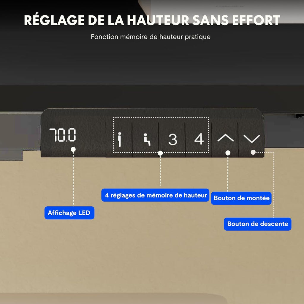 FLEXISPOT EC5 Lite Bureau Assis Debout Électrique à 2 Moteurs,Piétement à 3 Colonnes,Charge 100kg,Bureau Réglable en Hauteur en Acier avec Panneau Smart à Fonctions Mémoires,Noir