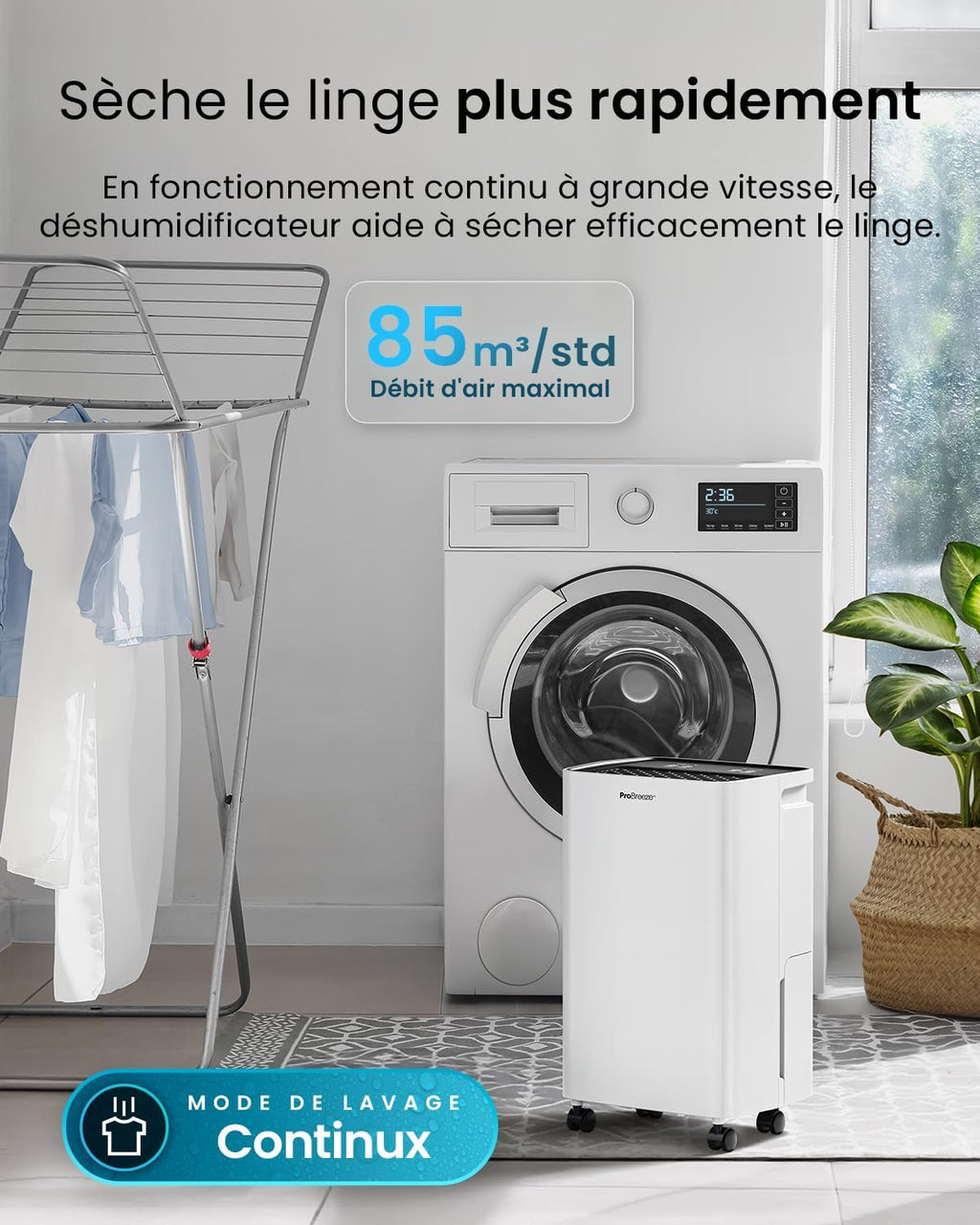 Pro Breeze Déshumidificateur d Air 12L/jour, Éliminateur de Moisissure Noire, Absorbeur d'Humidité Automatique, Sèche-linge, Déshumidificateur Compresseur Portable Silencieux, Minuterie 24h