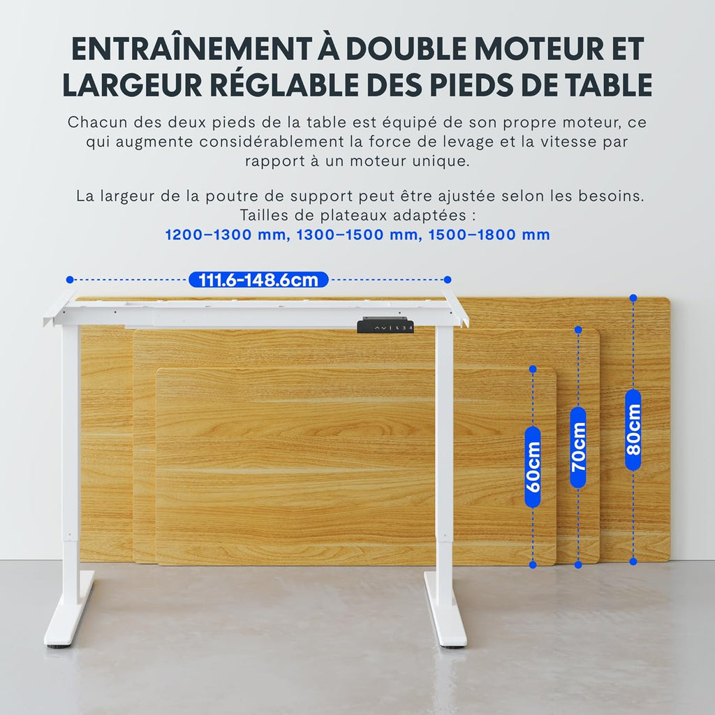 FLEXISPOT EC5 Lite Bureau Assis Debout Électrique à 2 Moteurs,Piétement à 3 Colonnes,Charge 100kg,Bureau Réglable en Hauteur en Acier avec Panneau Smart à Fonctions Mémoires,Noir