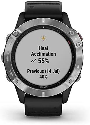 Fenix 6 Silver w/Black Band GPS Watch WW (Reconditionné)