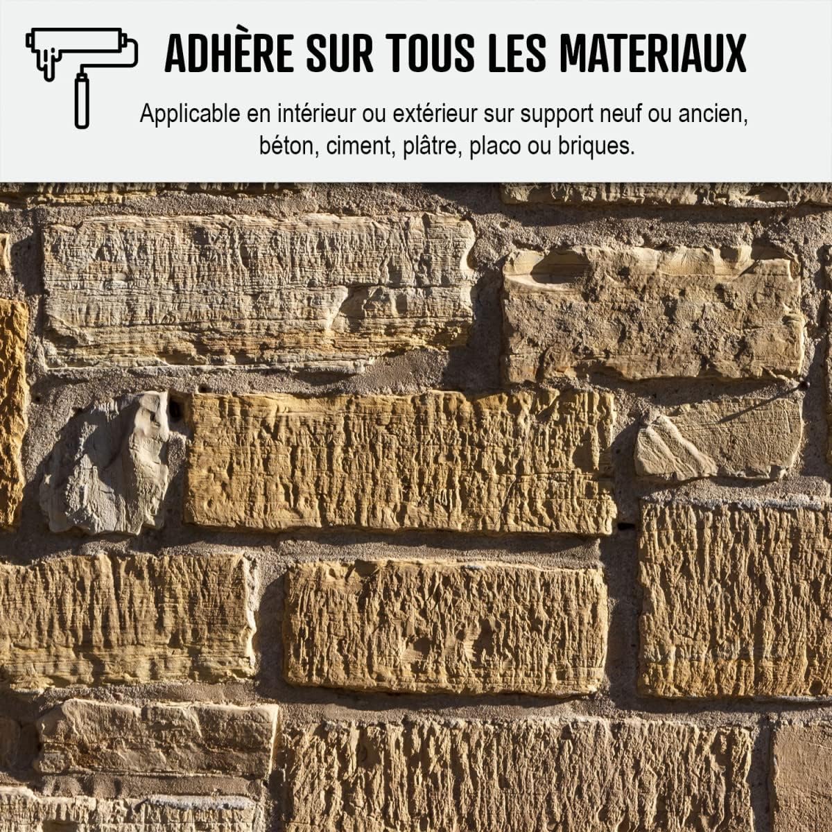 ARCANE INDUSTRIES Peinture anti humidité pour mur salle de bain et intérieur | Traitement préventif des moisissures : ARCASCREEN - 10 L (jusqu'à 40 m