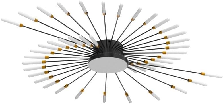 RRBEST Plafonnier LED Moderne Pour Salon,Acrylique Luminaire Plafonnier,Intérieur Design lampes de décoration pour salon chambre à coucher et salle à manger Or,42+1 Tête