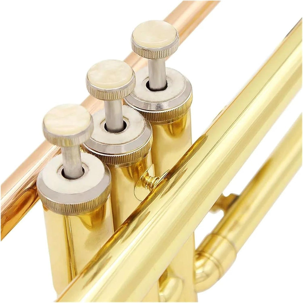 trompettes Trompette de musique professionnelle Bb B tube en cuivre plat instrument à vent avec embout et boîte de sangle (Color : 2)