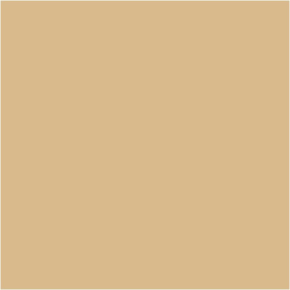 ARCANE INDUSTRIES Peinture Sol extérieur intérieur pour béton, Haute résistance, Non jaunissante : Solthane - 5 kg Ivoire Clair - RAL 1015