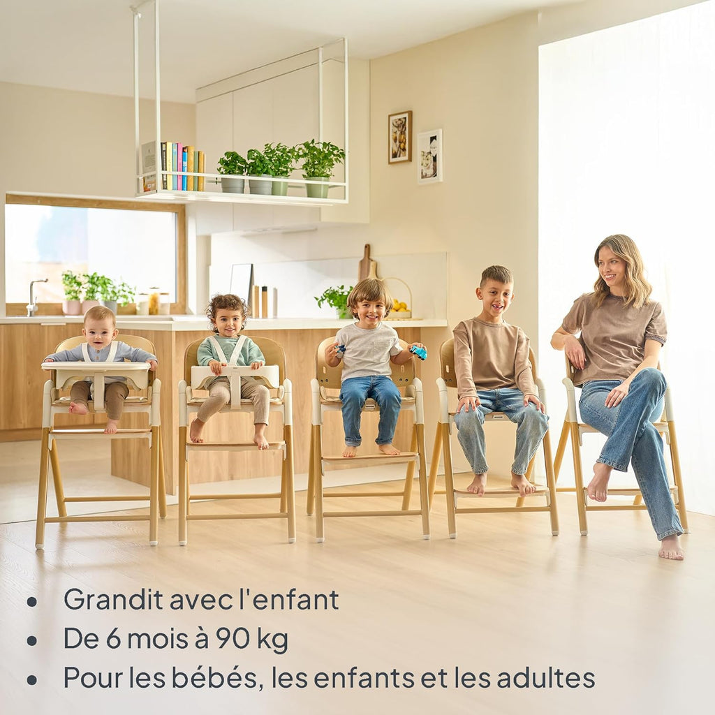 LIONELO Chaise Haute en Bois Celia, Évolutive, dès 6 mois jusqu'à 90 kg, Repose-pieds Réglable, Harnais 5 Points, Coussin de Siège, Nettoyage Facile (Grey)