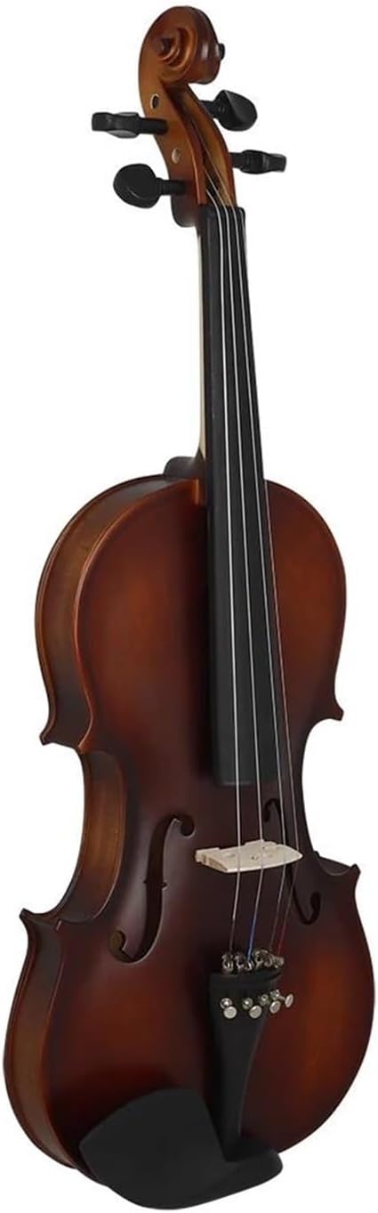 Ensemble D'instruments De Violon Violon 4/4 Professionnel Pour Adulte Fait Main Avec Étui Archet Et Cordes