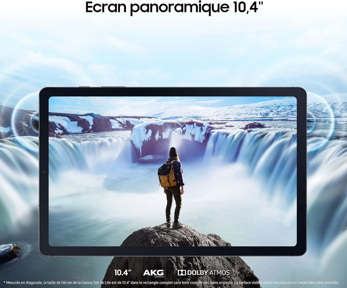 Tab S6 Lite 2024, 10.4'' 64Go, WiFi, Anthracite, avec Chargeur secteur rapide 25W, S Pen Inclus, FR Version