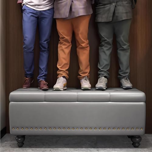 Banc de rangement rembourré pour chambre à coucher et entrée - Grande capacité - Avec siège élégant - Ottomane de rangement pour bout de lit - Meuble multifonction pour décoration d'intérieur