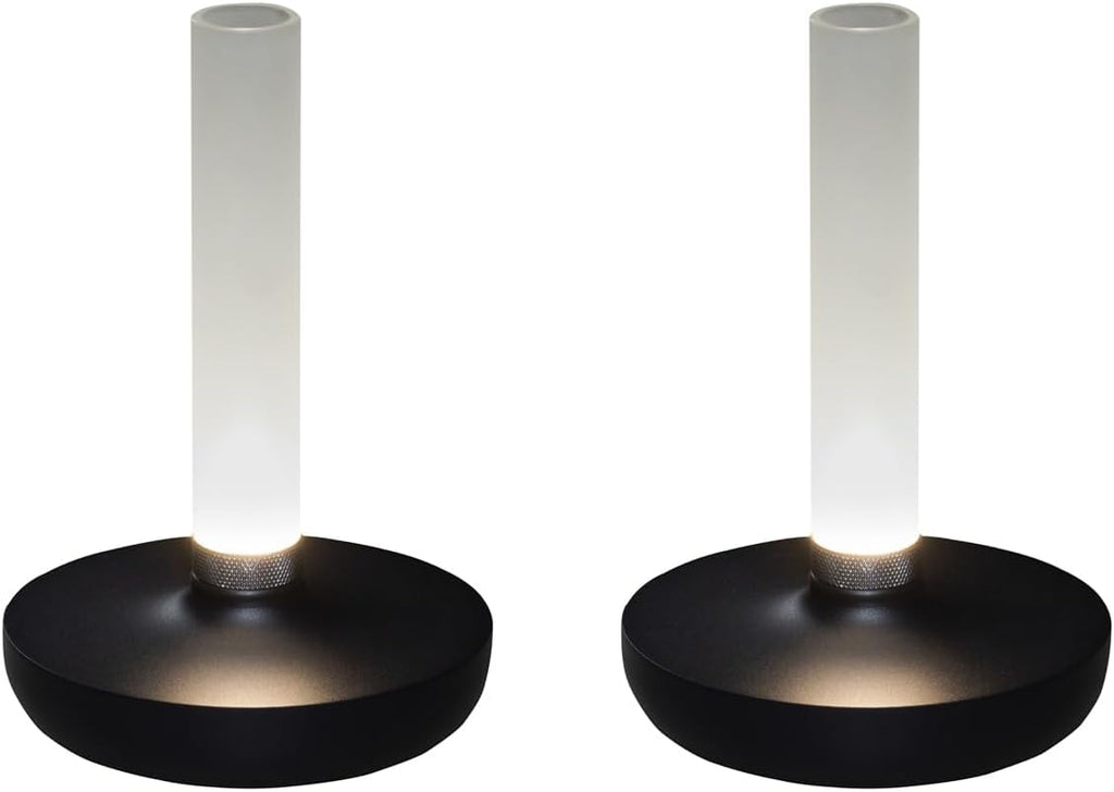 Lot de 2 lampes d'extérieur et vase à fleurs avec batterie Noir Hauteur 20 cm