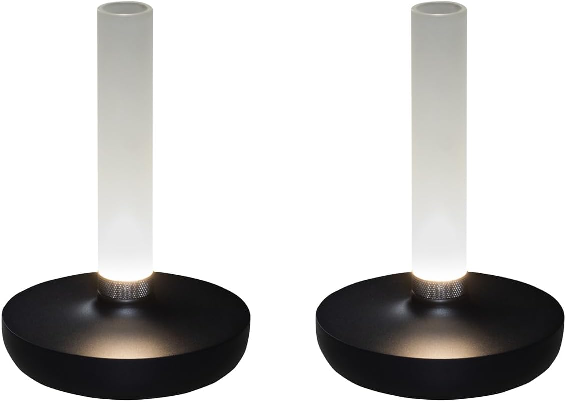 Lot de 2 lampes d'extérieur et vase à fleurs avec batterie Noir Hauteur 20 cm