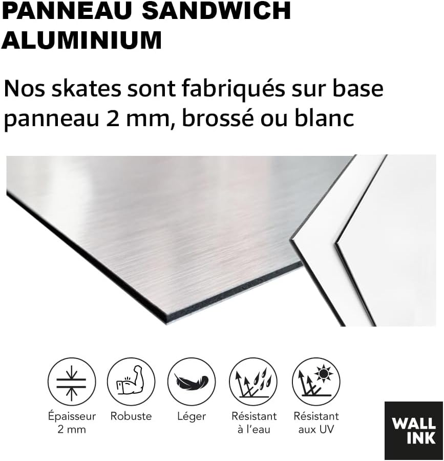 SUPER FABRIQUE Planche Alu forme Skate Board pour décoration murale, anime, One Piece, pour une déco originale (Polyptique (5P))