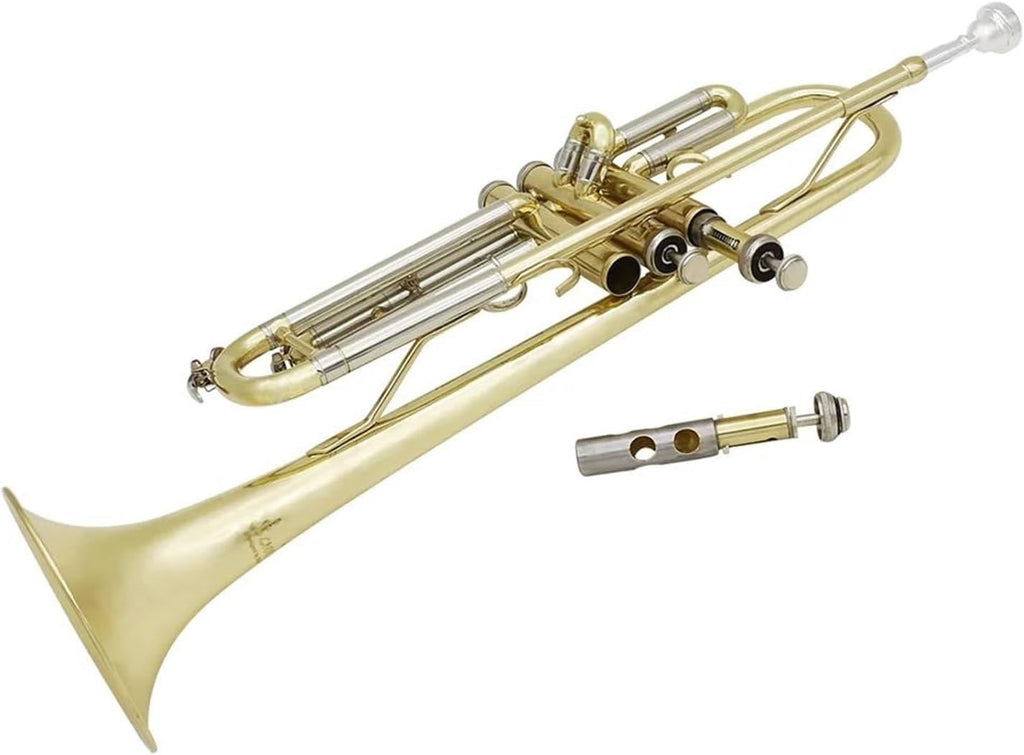 trompettes Trompette de musique professionnelle Bb B tube en cuivre plat instrument à vent avec embout et boîte de sangle (Color : 2)