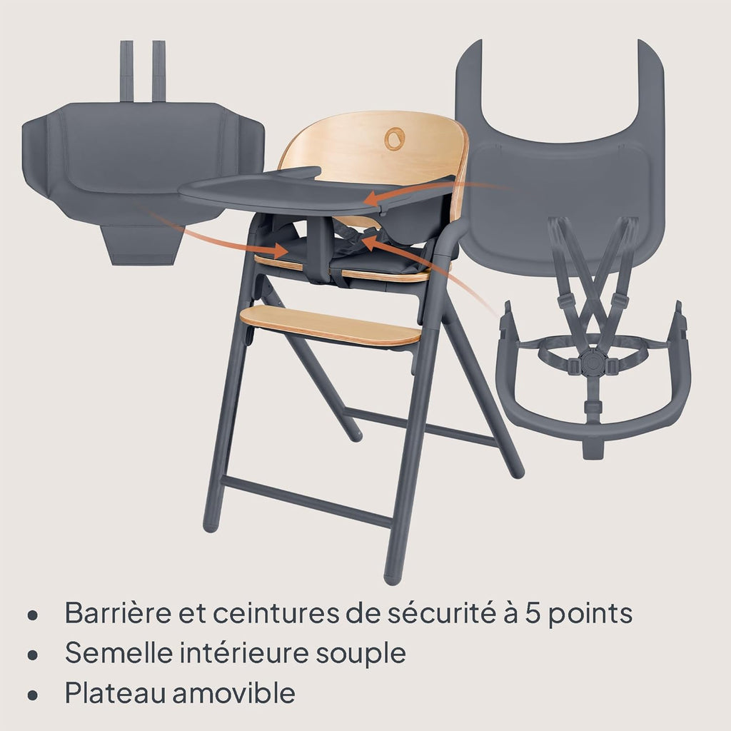 LIONELO Chaise Haute en Bois Celia, Évolutive, dès 6 mois jusqu'à 90 kg, Repose-pieds Réglable, Harnais 5 Points, Coussin de Siège, Nettoyage Facile (Grey)