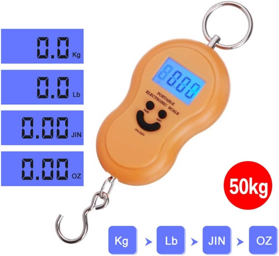 ZJFHEYUO Mini Balance numérique de 50 kg pour la pêche, Les Bagages, Les Voyages, la Cuisine, la Balance à Crochet électronique Suspendue